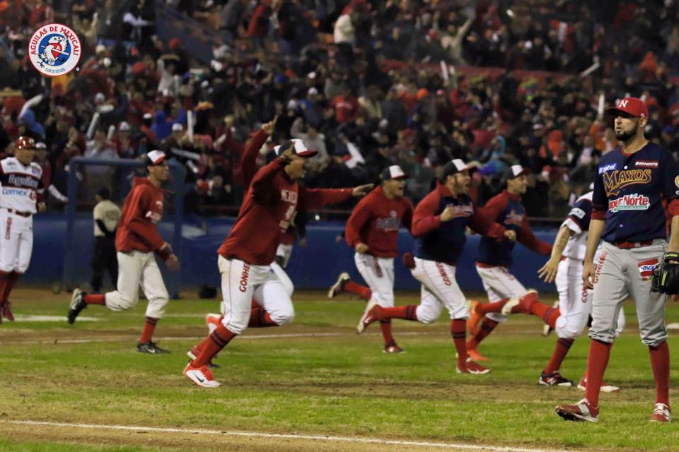 12509141_1154764177874716_4613216402403621863_n