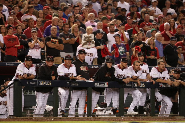 dbacks33.jpg