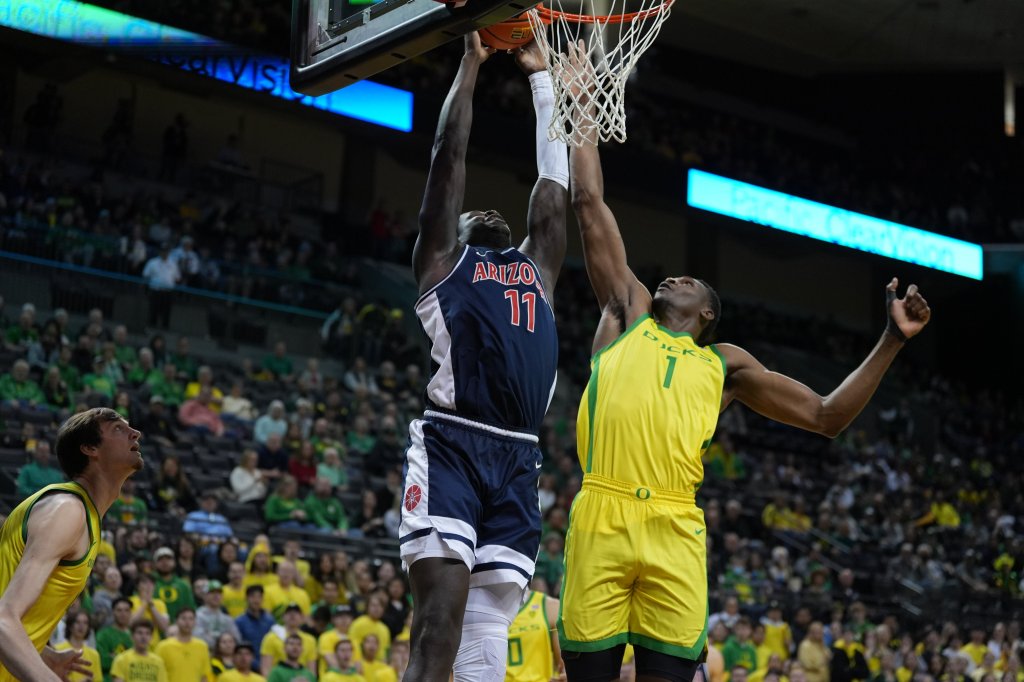 Derrota de los&nbsp;Gatos