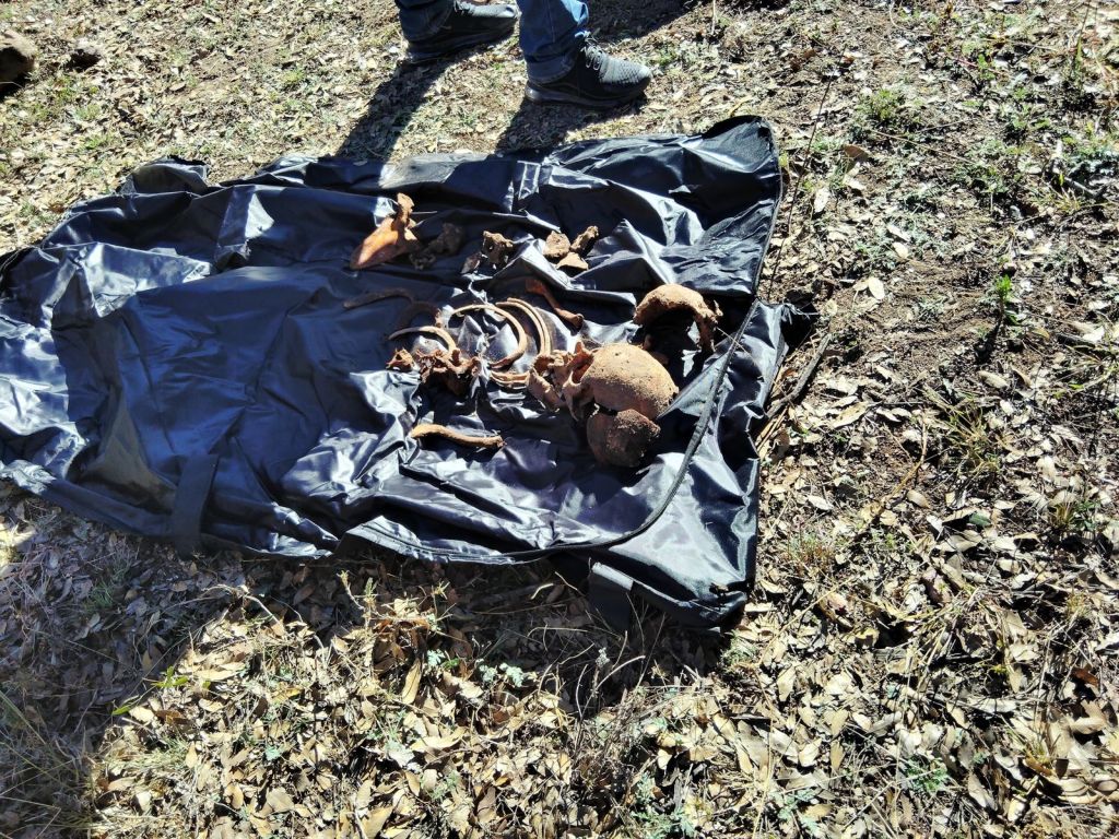 Hallan restos óseos en La&nbsp;Mesa