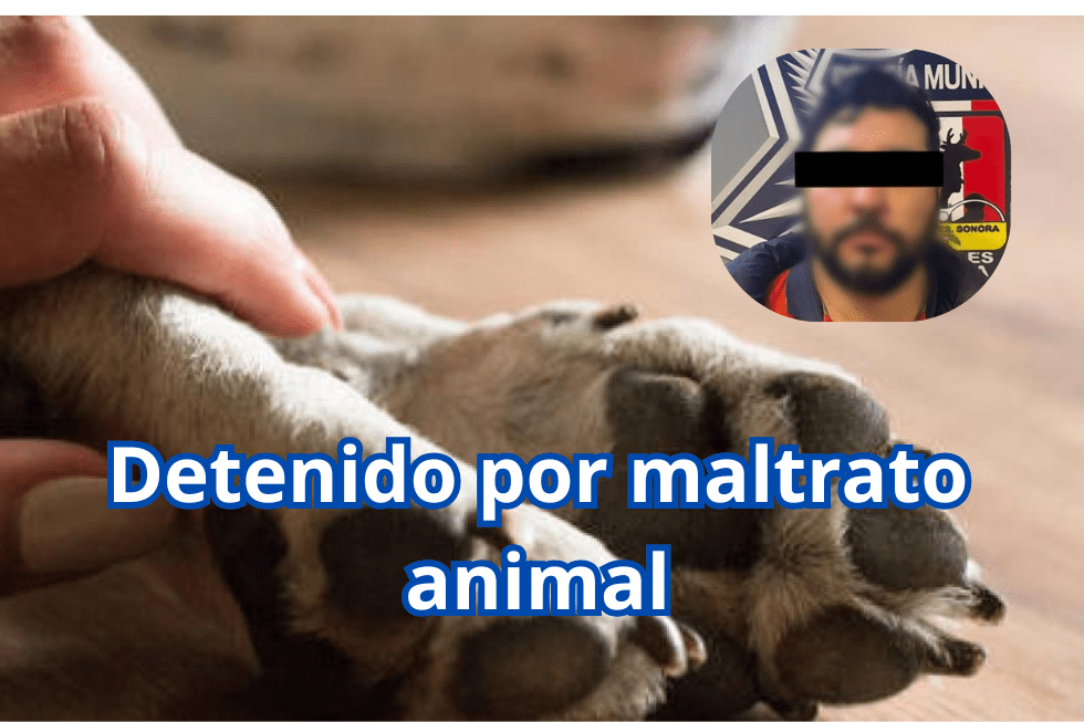 Detenido por maltrato&nbsp;animal